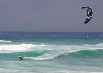 Wild Thing 2 Feature