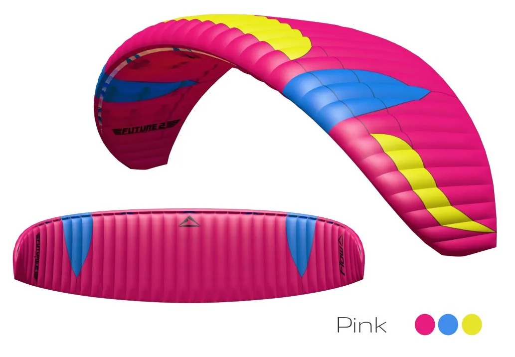 future2 pink