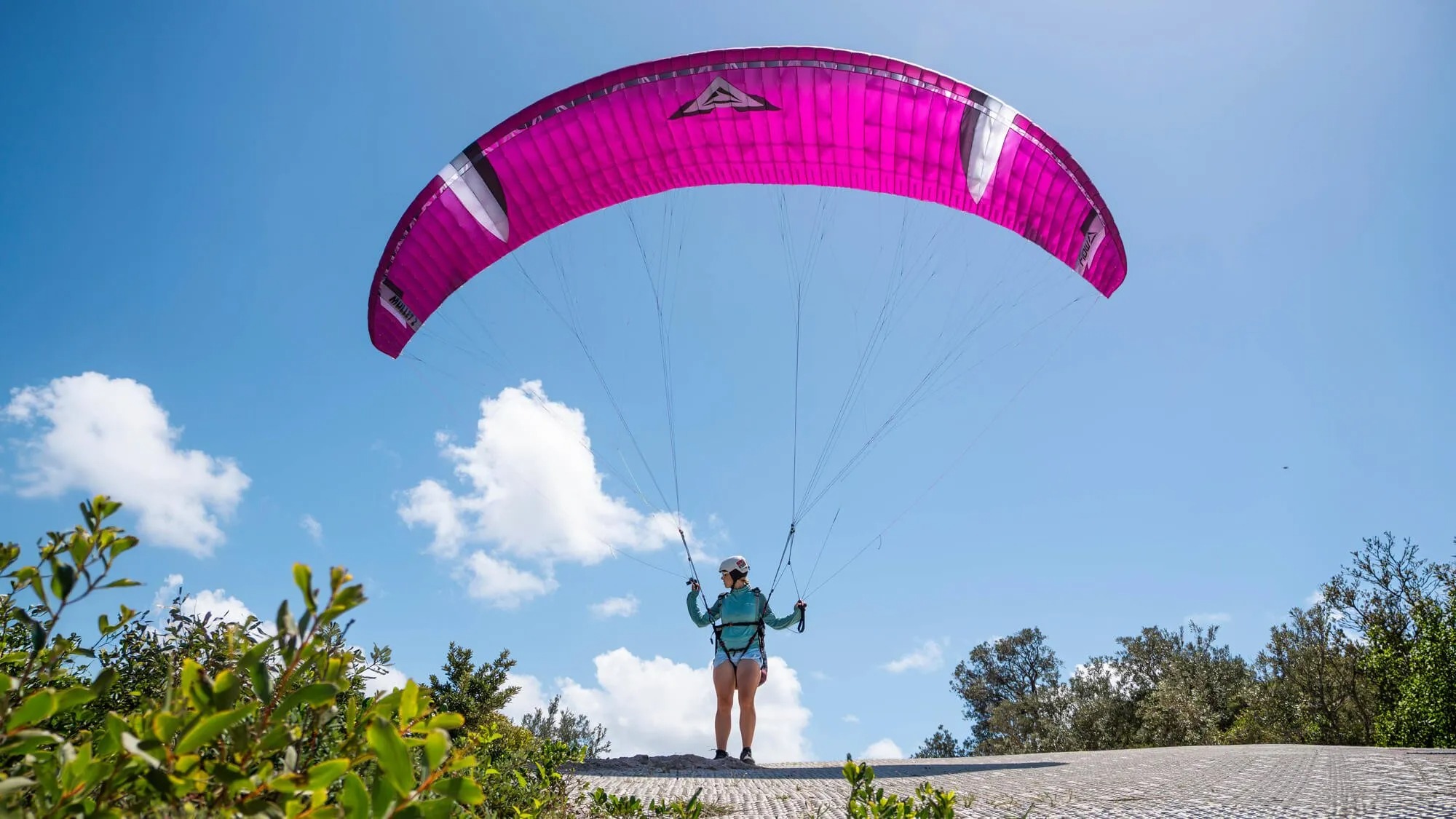 Mullet2 マレット2