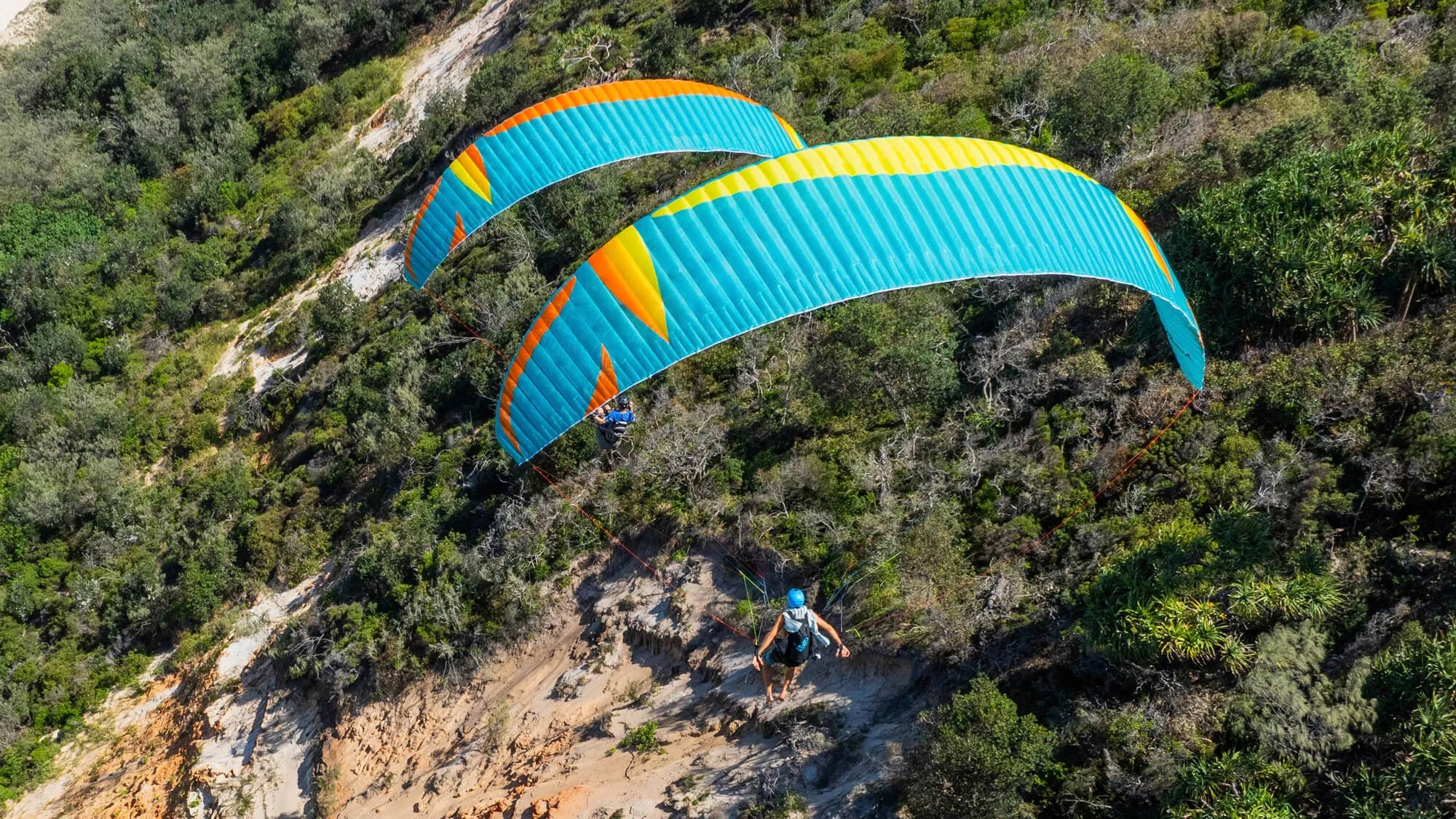 Mullet2 マレット2