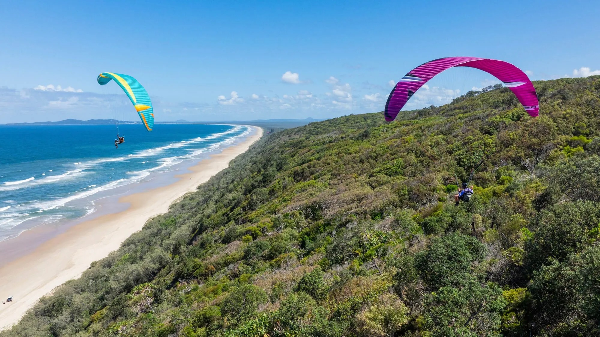 Mullet2 マレット2