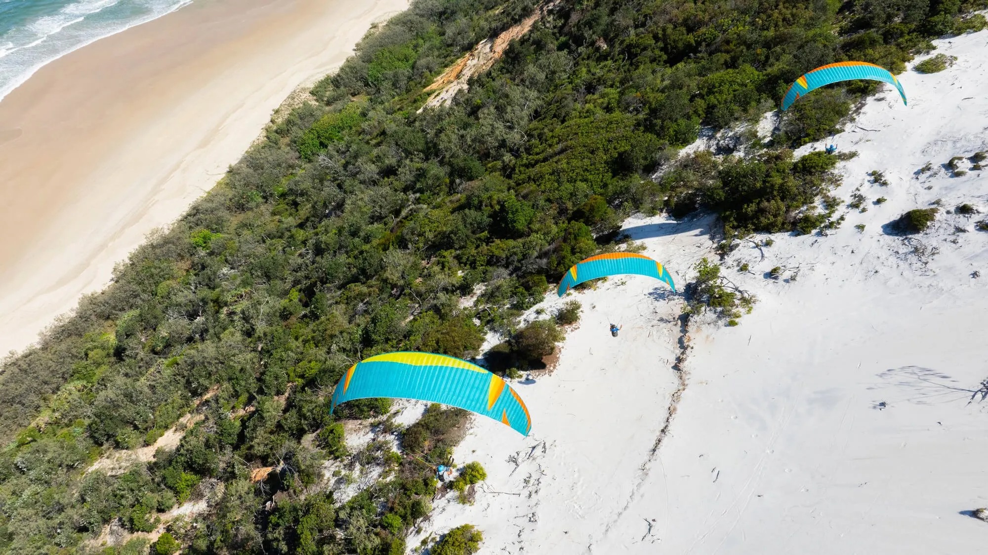 Mullet2 マレット2