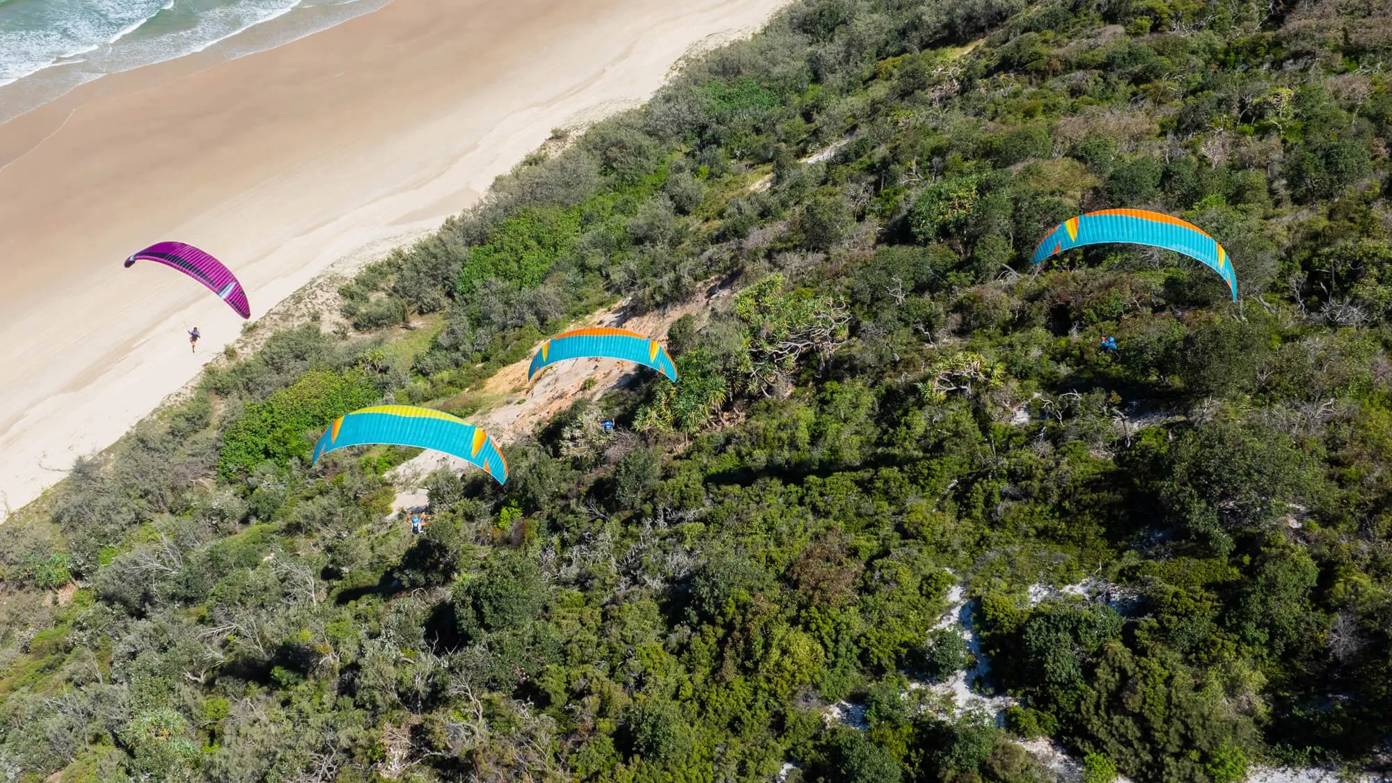 Mullet2 マレット2