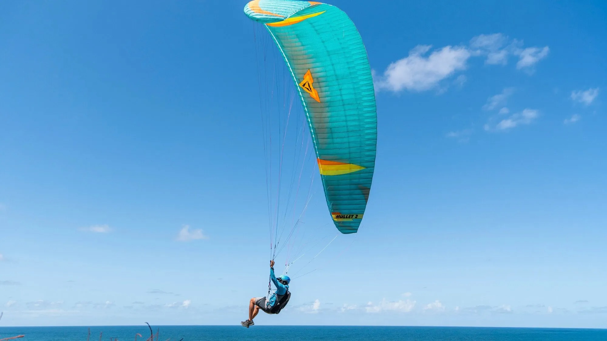 Mullet2 マレット2