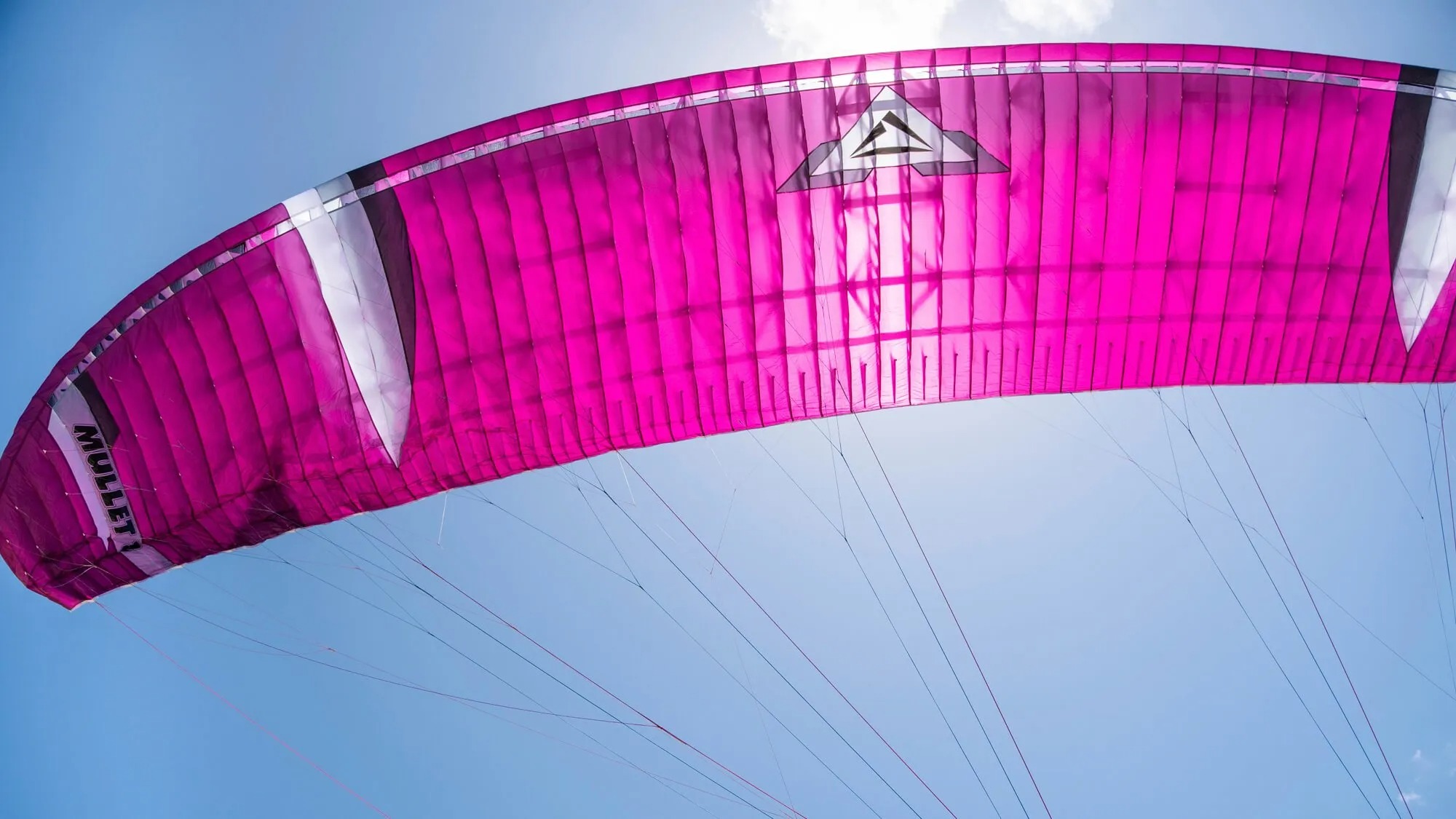 Mullet2 マレット2