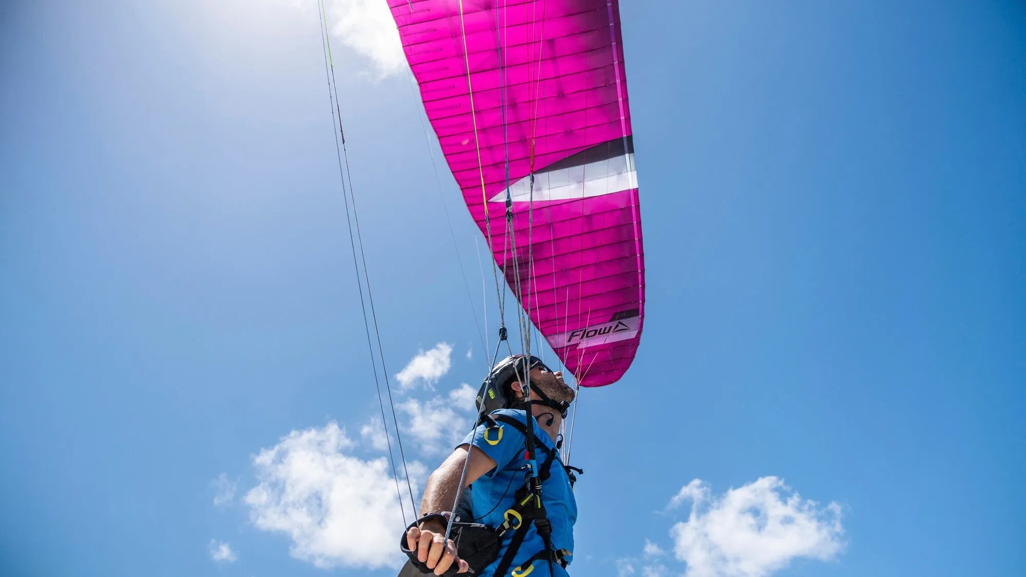 Mullet2 マレット2