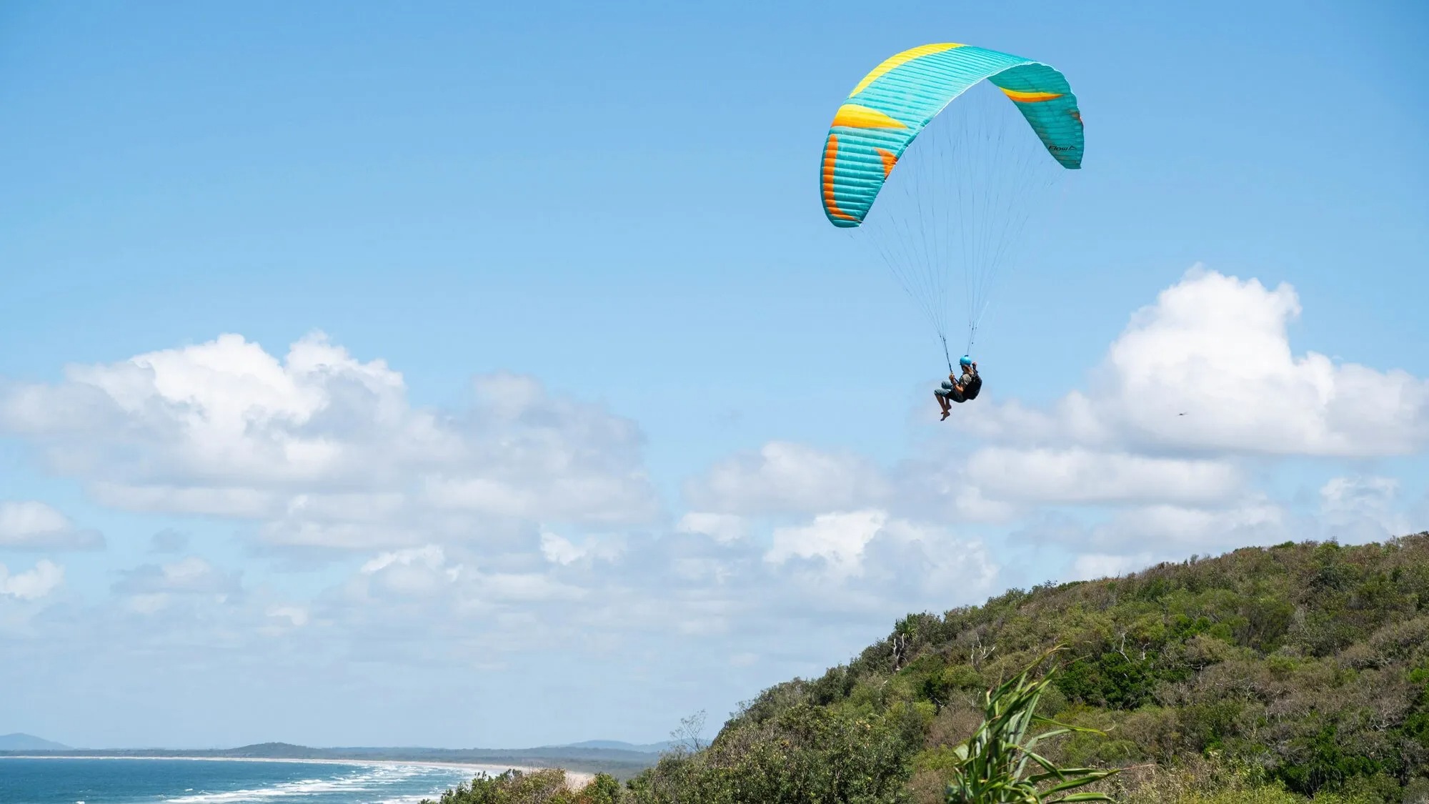 Mullet2 マレット2