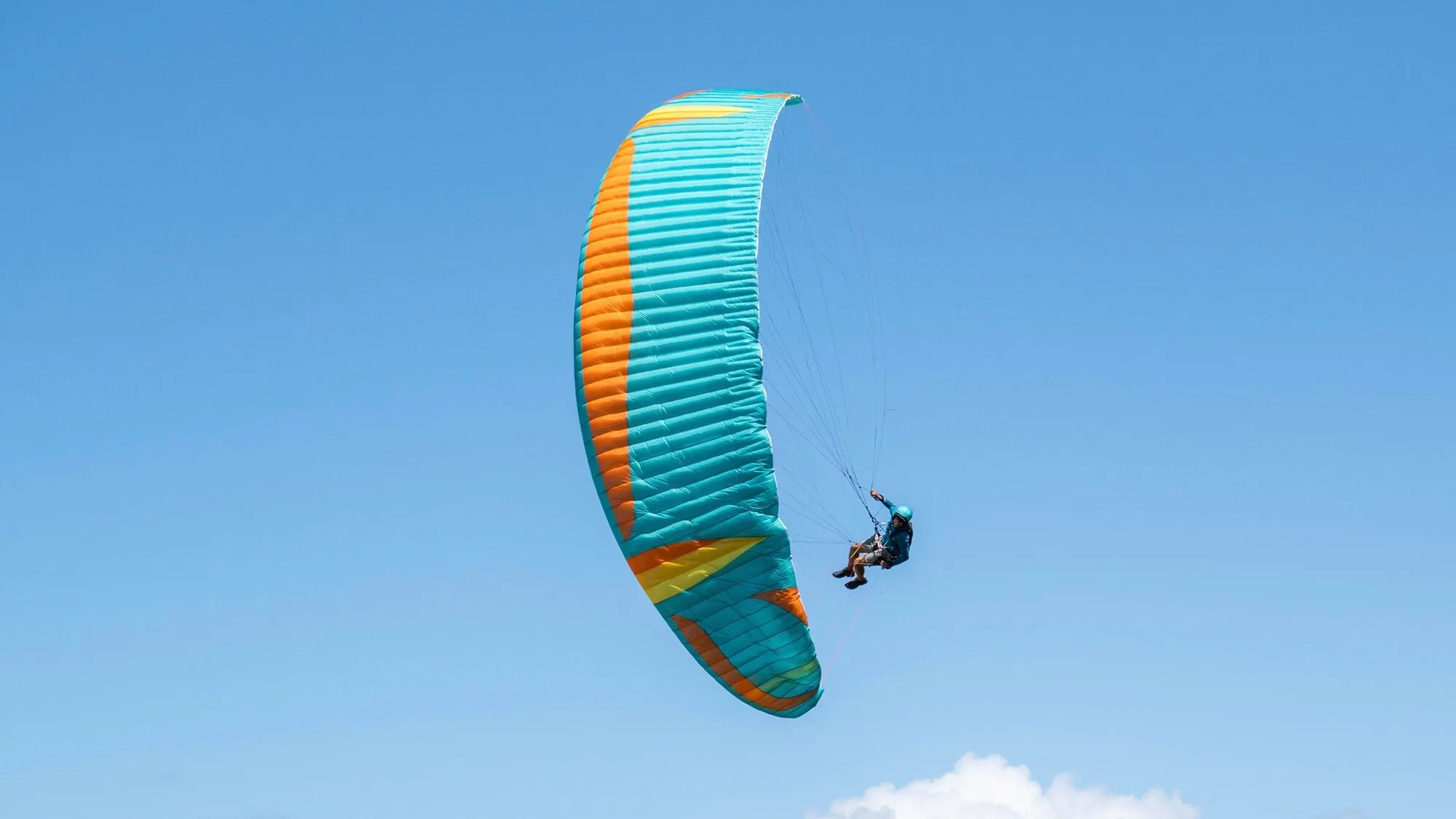 Mullet2 マレット2