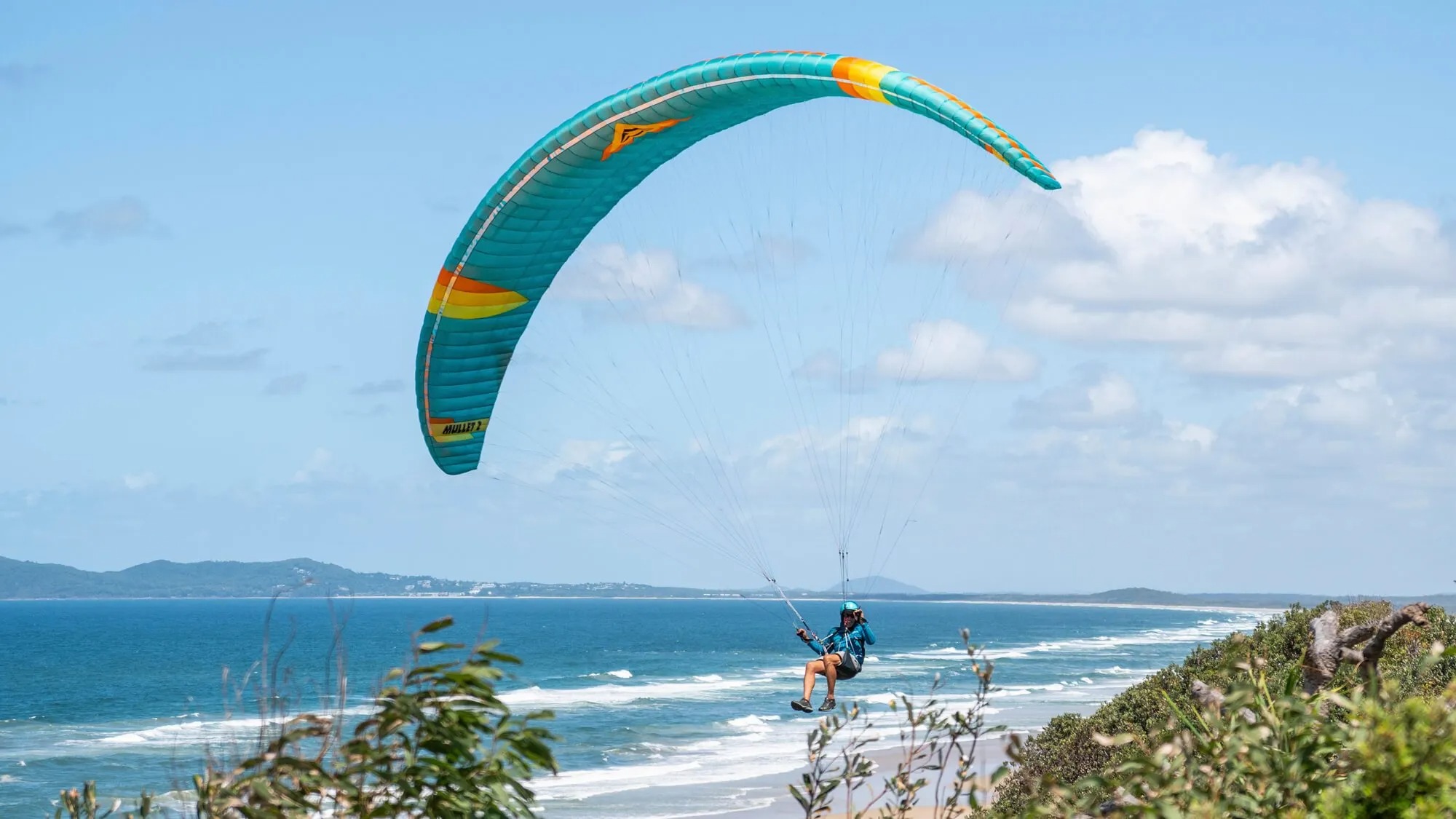 Mullet2 マレット2