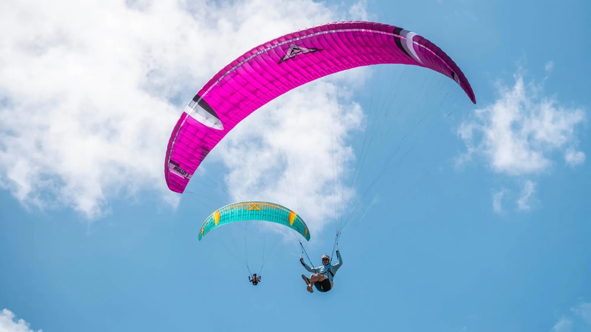 Mullet2 マレット2