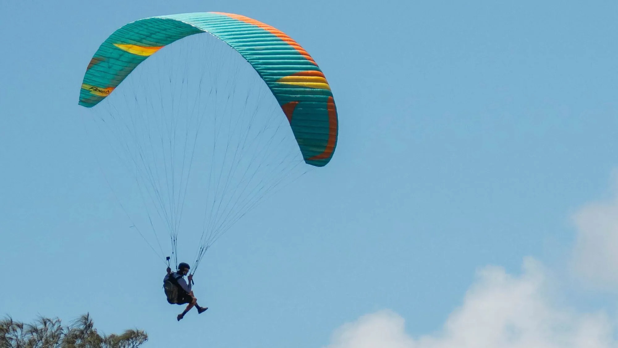 Mullet2 マレット2