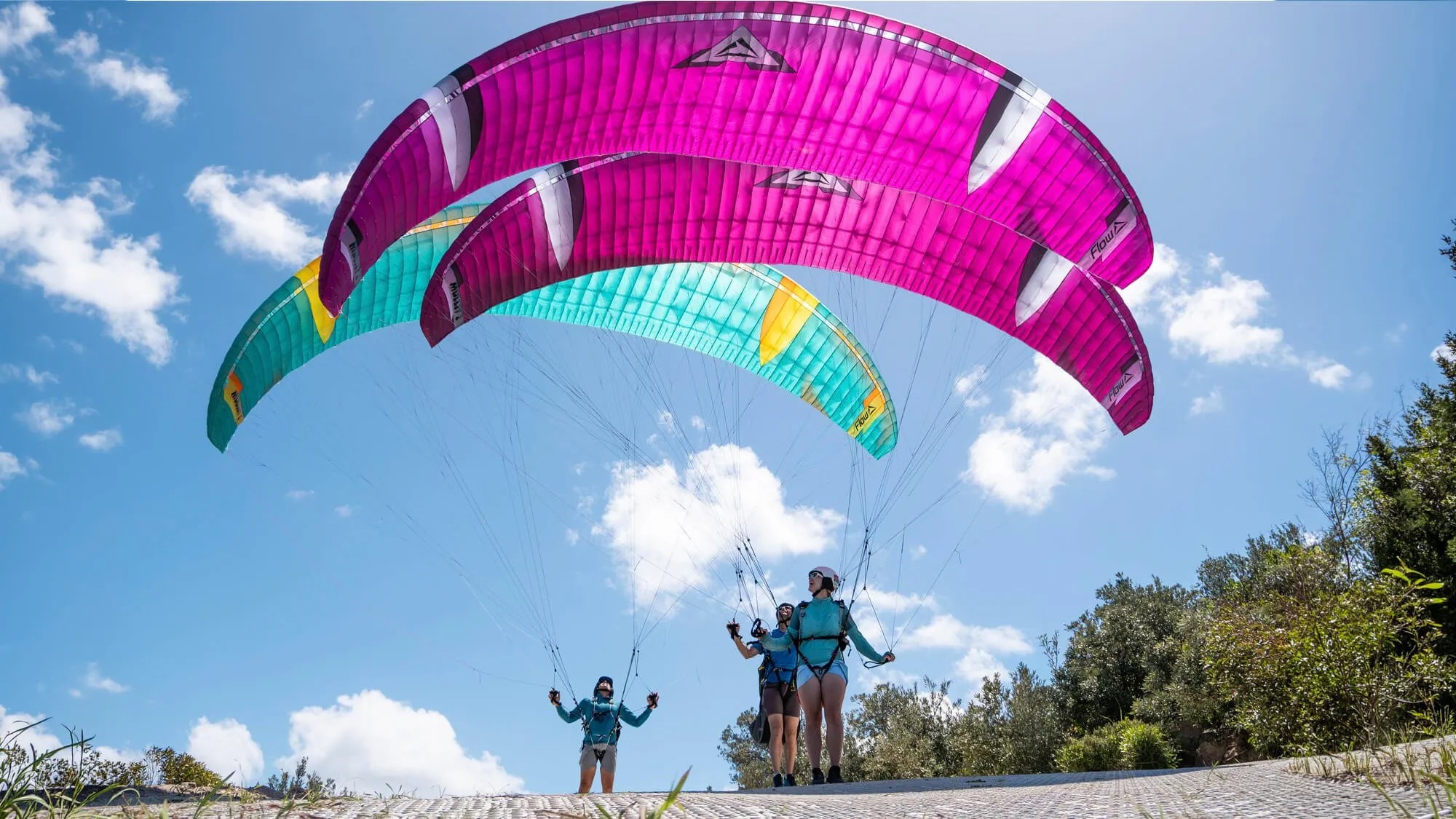 Mullet2 マレット2