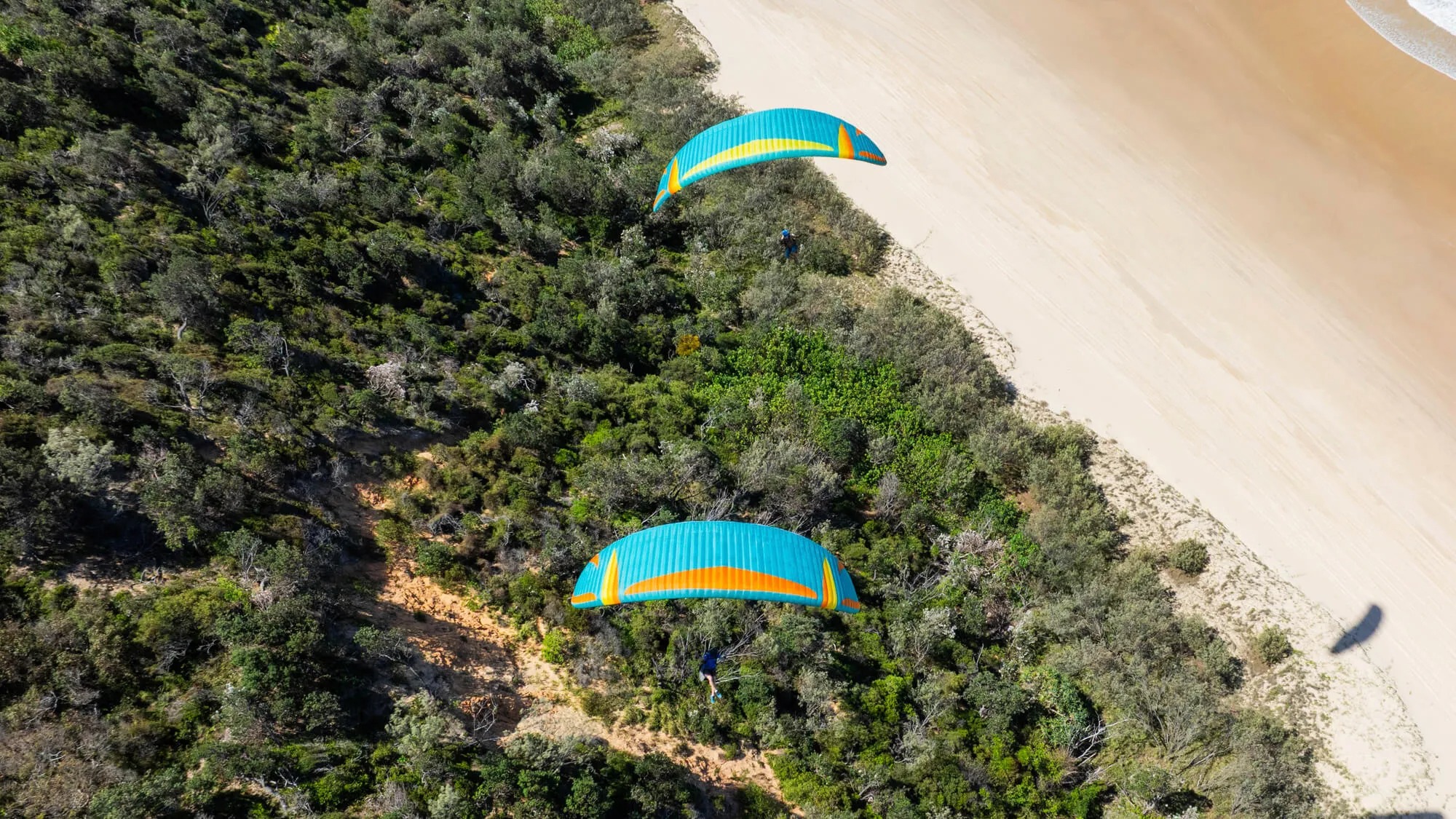 Mullet2 マレット2