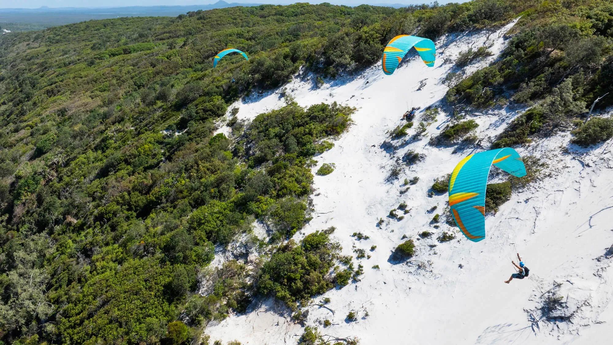 Mullet2 マレット2