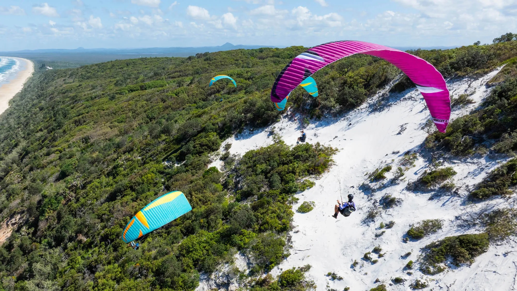 Mullet2 マレット2