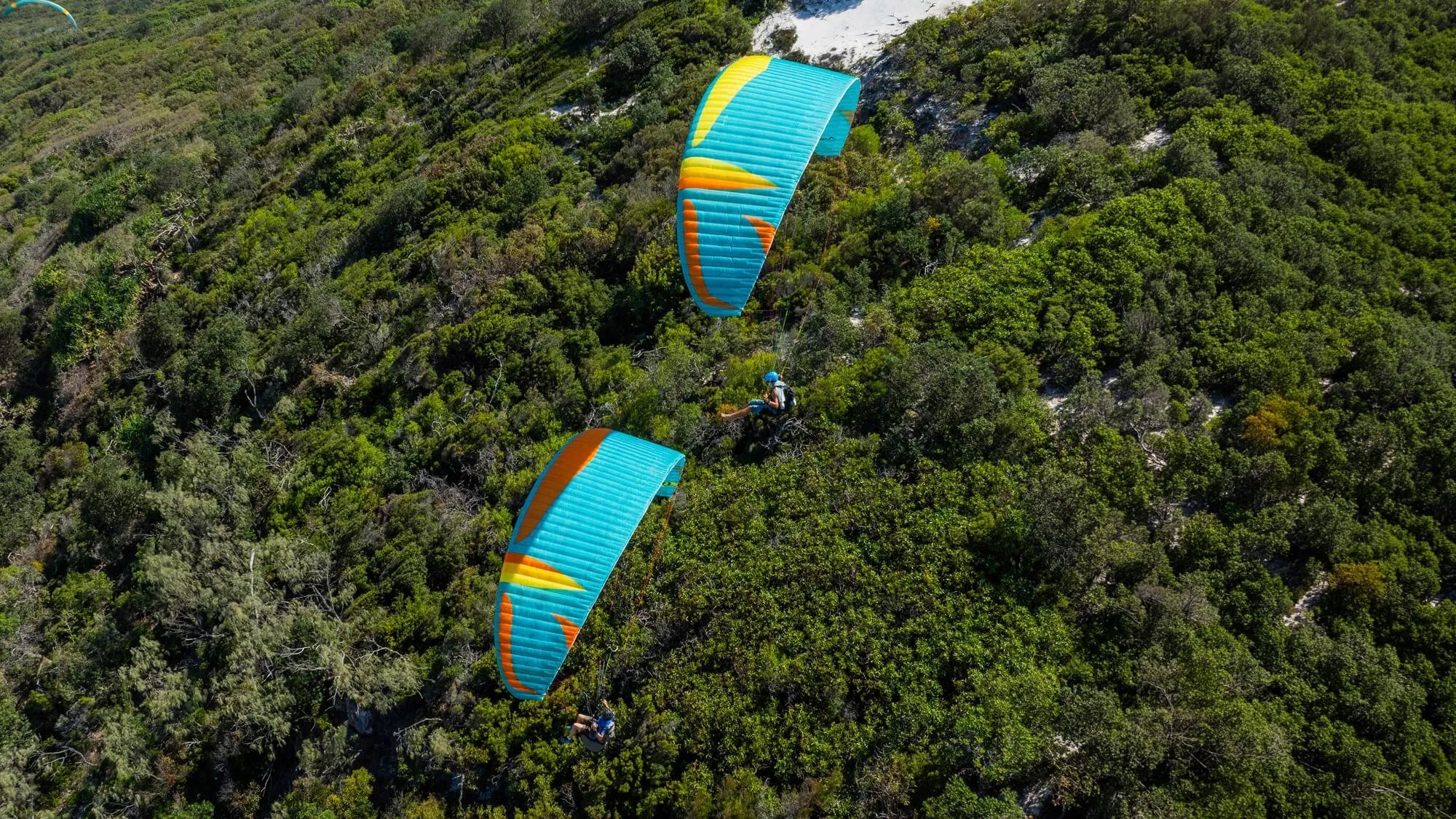 Mullet2 マレット2