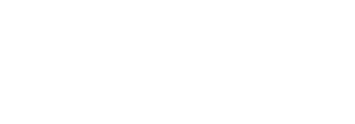 bipbip pro v2