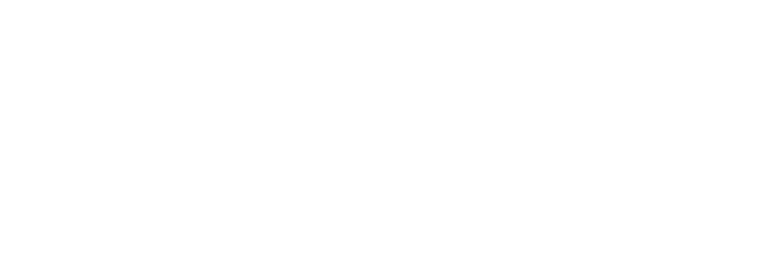 bipbip pro v2
